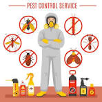 Pest Control Operation