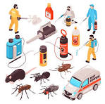 Pest Control Operation